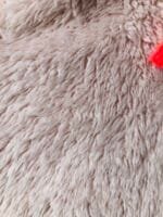 Duks jakna H&M vel 98/104 - Slika 3