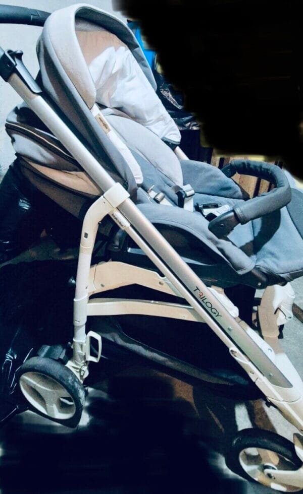 Kolica Inglesina 2in1 Trilogy - Slika 7