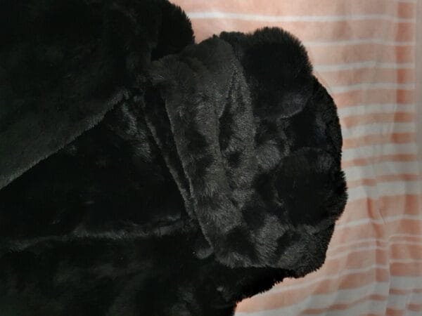 Bundica H&M Vel 158/164 Novo - Slika 3